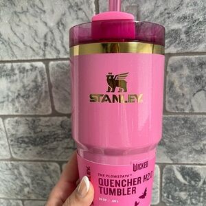 Wicked 20oz Galinda Stanley Cup